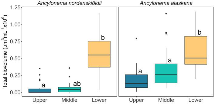 https://cdn.ncbi.nlm.nih.gov/pmc/blobs/287d/10912336/df99914e2f32/fmicb-15-1356376-g0004.jpg