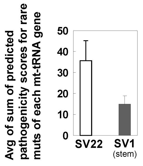 https://cdn.ncbi.nlm.nih.gov/pmc/blobs/287e/6600575/2e865f0f8440/ijms-20-02813-g007.jpg