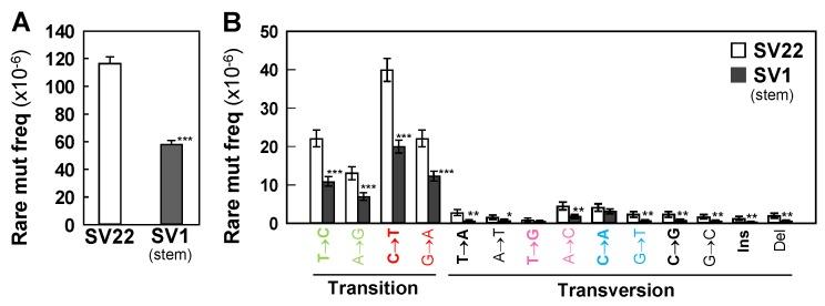 https://cdn.ncbi.nlm.nih.gov/pmc/blobs/287e/6600575/69050ad1734c/ijms-20-02813-g001.jpg
