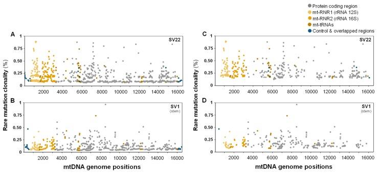 https://cdn.ncbi.nlm.nih.gov/pmc/blobs/287e/6600575/e2996c9d02f6/ijms-20-02813-g005.jpg