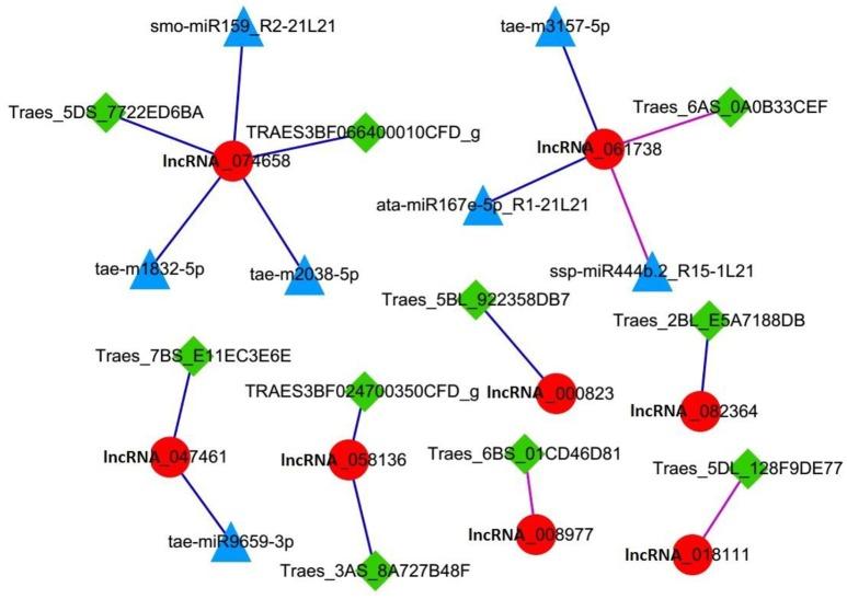 https://cdn.ncbi.nlm.nih.gov/pmc/blobs/287f/5845709/230139ae3c11/fpls-09-00244-g0006.jpg