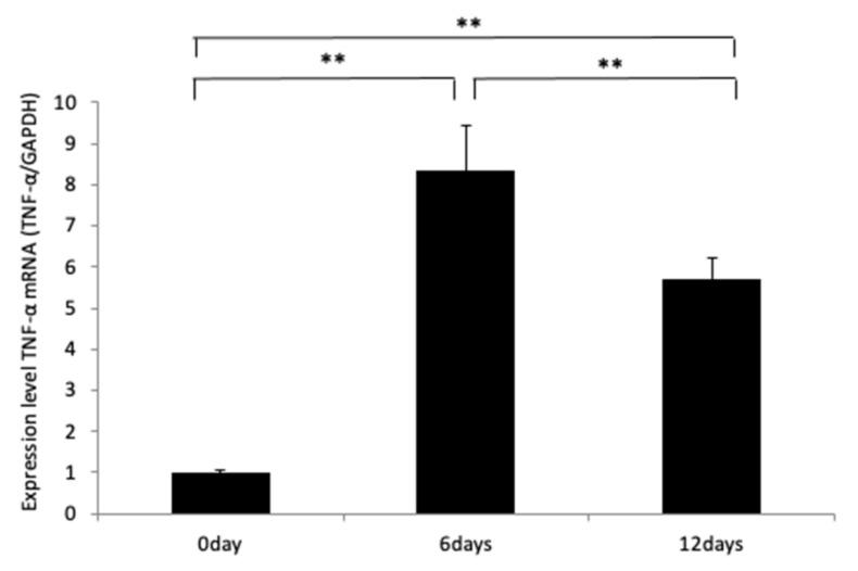 https://cdn.ncbi.nlm.nih.gov/pmc/blobs/2880/8955966/d555a6c836bc/ijms-23-02968-g003.jpg