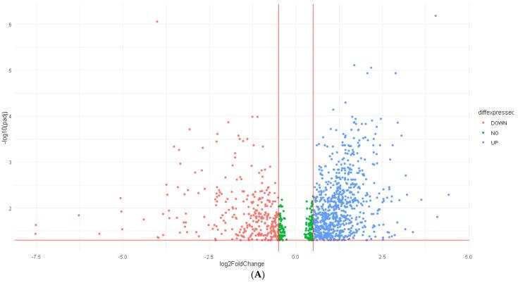 https://cdn.ncbi.nlm.nih.gov/pmc/blobs/2880/9688789/5533b386097d/cancers-14-05605-g003a.jpg