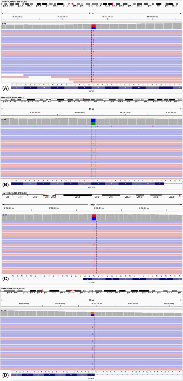 https://cdn.ncbi.nlm.nih.gov/pmc/blobs/2882/11300952/e4714eef1970/CCR3-12-e9265-g001.jpg