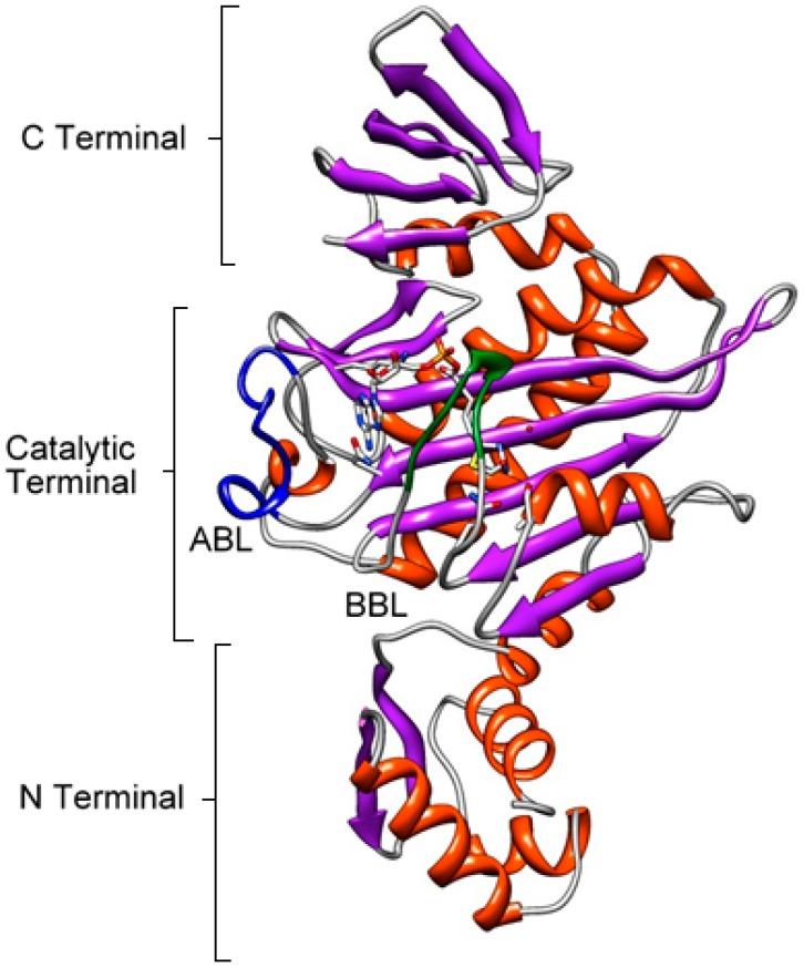 https://cdn.ncbi.nlm.nih.gov/pmc/blobs/2882/5039522/f856bed15340/antibiotics-05-00026-g001.jpg