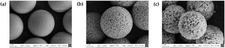 https://cdn.ncbi.nlm.nih.gov/pmc/blobs/2884/11051278/c2f0d325ac45/materials-17-01718-g001.jpg