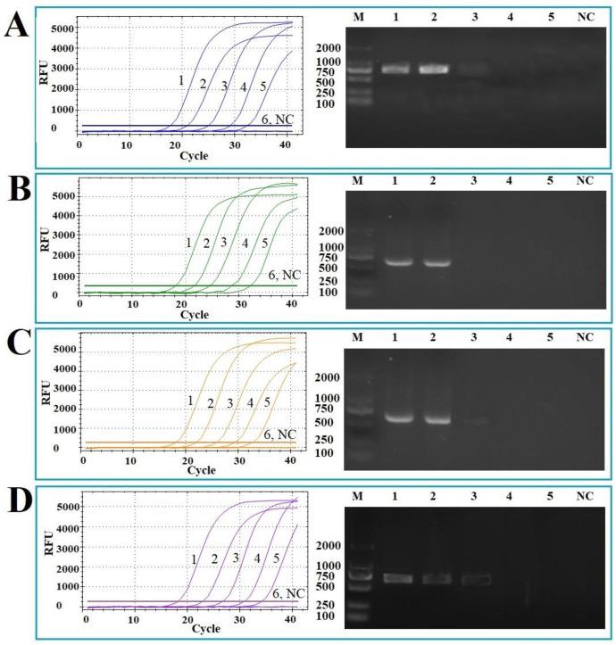 https://cdn.ncbi.nlm.nih.gov/pmc/blobs/2885/12030866/0c5acb1fc99a/vetsci-12-00327-g005.jpg