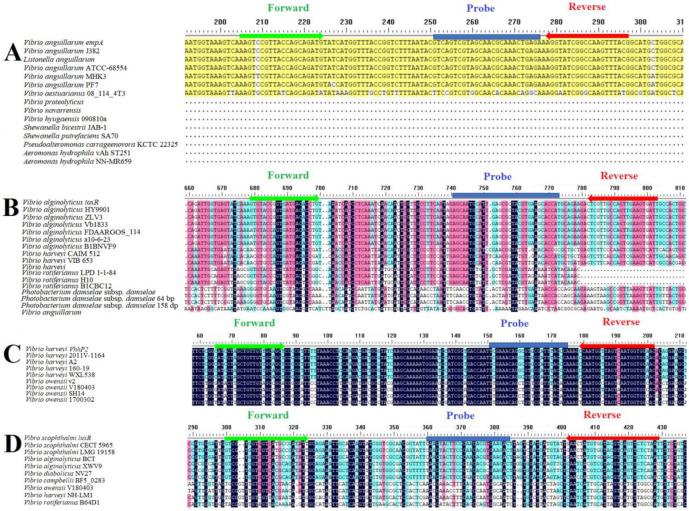 https://cdn.ncbi.nlm.nih.gov/pmc/blobs/2885/12030866/5fed7a6954aa/vetsci-12-00327-g001.jpg