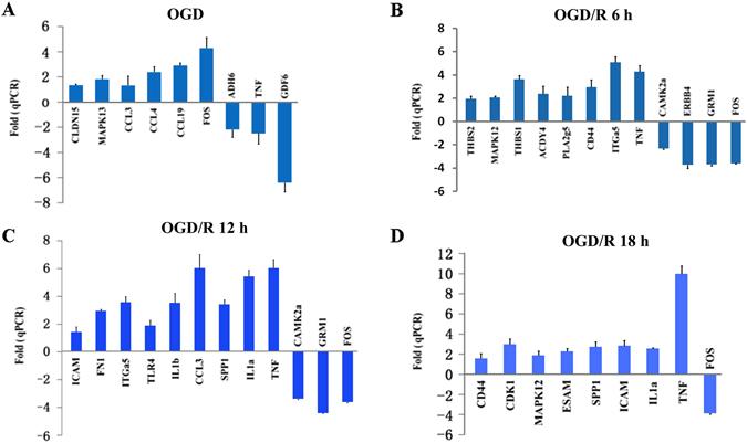 https://cdn.ncbi.nlm.nih.gov/pmc/blobs/2885/5517505/9f3feb7c5347/41598_2017_5342_Fig4_HTML.jpg