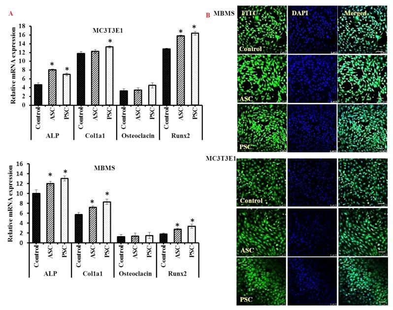 https://cdn.ncbi.nlm.nih.gov/pmc/blobs/2885/6212988/ce8bf35a2779/marinedrugs-16-00350-g008.jpg