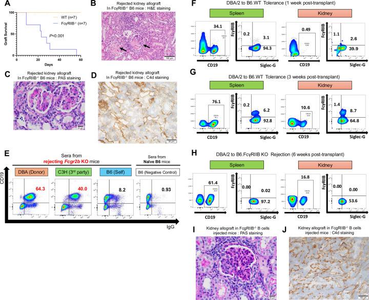https://cdn.ncbi.nlm.nih.gov/pmc/blobs/288a/12393600/1cf7f51b368d/nihpp-rs7236564v1-f0004.jpg
