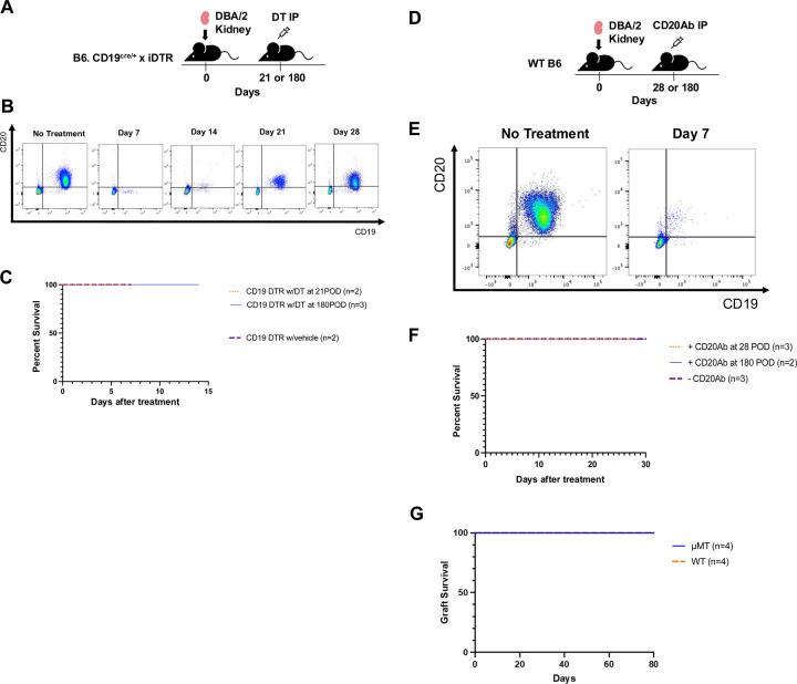 https://cdn.ncbi.nlm.nih.gov/pmc/blobs/288a/12393600/e1e2d6684f88/nihpp-rs7236564v1-f0001.jpg