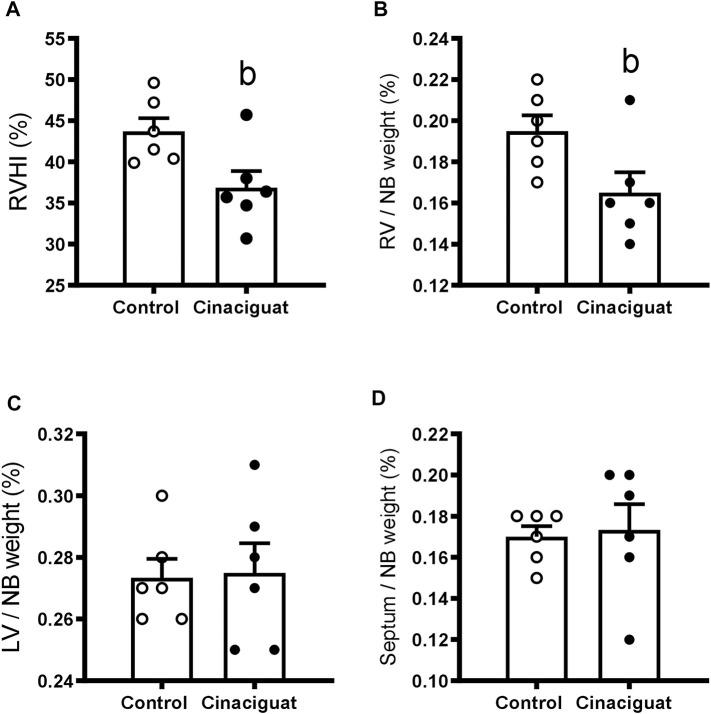 https://cdn.ncbi.nlm.nih.gov/pmc/blobs/288a/9207417/9ec8aae5b245/fphys-13-864010-g004.jpg
