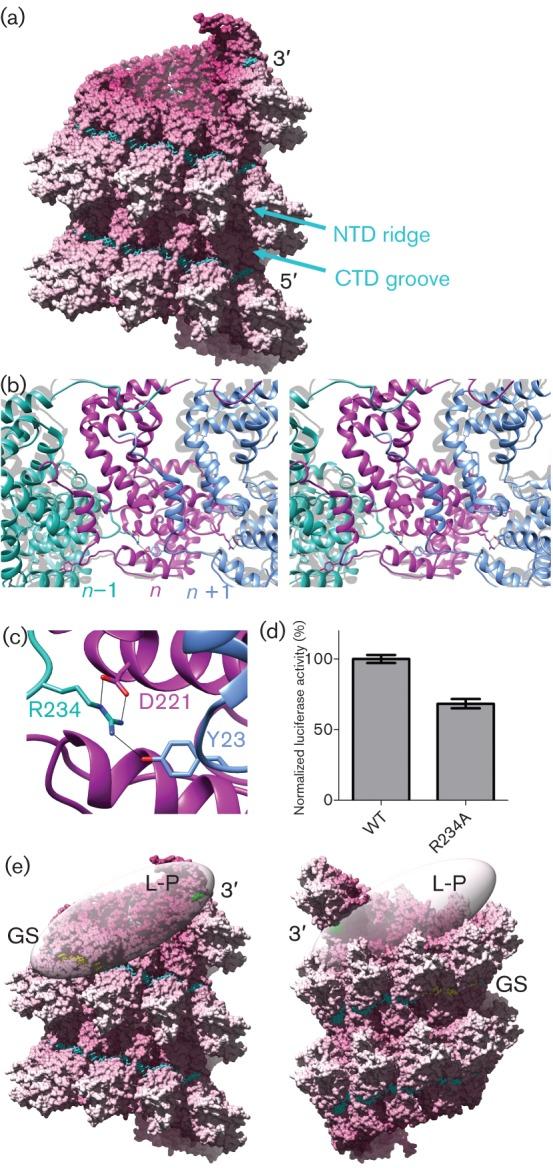 https://cdn.ncbi.nlm.nih.gov/pmc/blobs/288b/3749527/054042529ecd/053025-f2.jpg