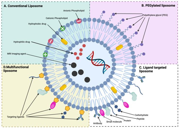 https://cdn.ncbi.nlm.nih.gov/pmc/blobs/288c/11858949/3c51daa11105/pharmaceutics-17-00240-g003.jpg