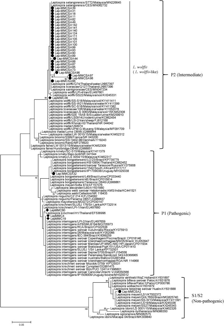 https://cdn.ncbi.nlm.nih.gov/pmc/blobs/288c/7588863/537a3a406840/gr1.jpg