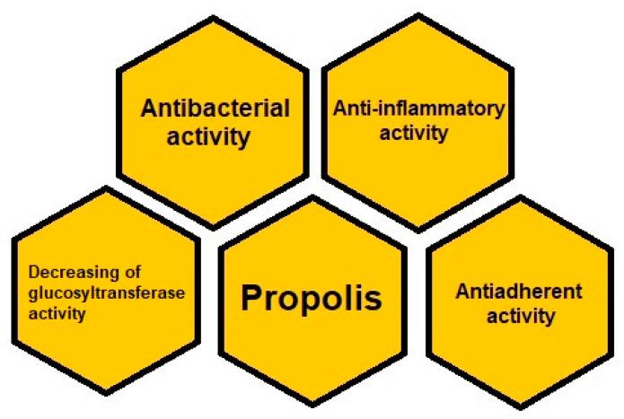 https://cdn.ncbi.nlm.nih.gov/pmc/blobs/288c/8746943/c22d562f0380/molecules-27-00271-g003.jpg