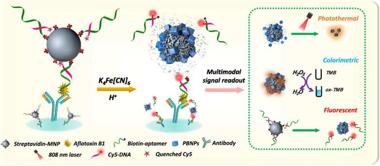 https://cdn.ncbi.nlm.nih.gov/pmc/blobs/2890/11462967/fe455d3da148/13020_2024_1014_Fig11_HTML.jpg