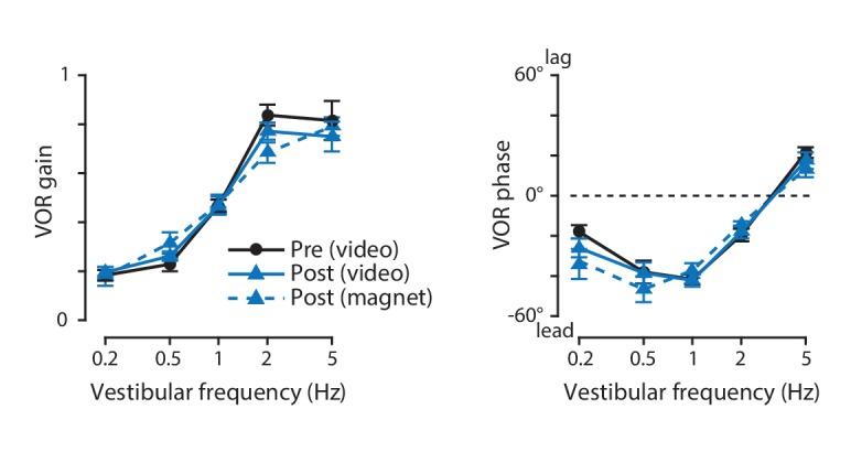 https://cdn.ncbi.nlm.nih.gov/pmc/blobs/2891/5584990/f6a7627e94a3/elife-29222-fig6.jpg