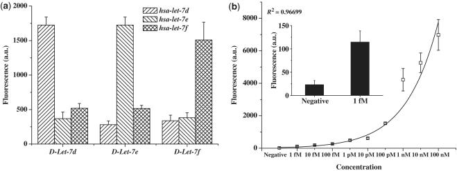 https://cdn.ncbi.nlm.nih.gov/pmc/blobs/2895/2926626/d575177b09fa/gkq556f3.jpg