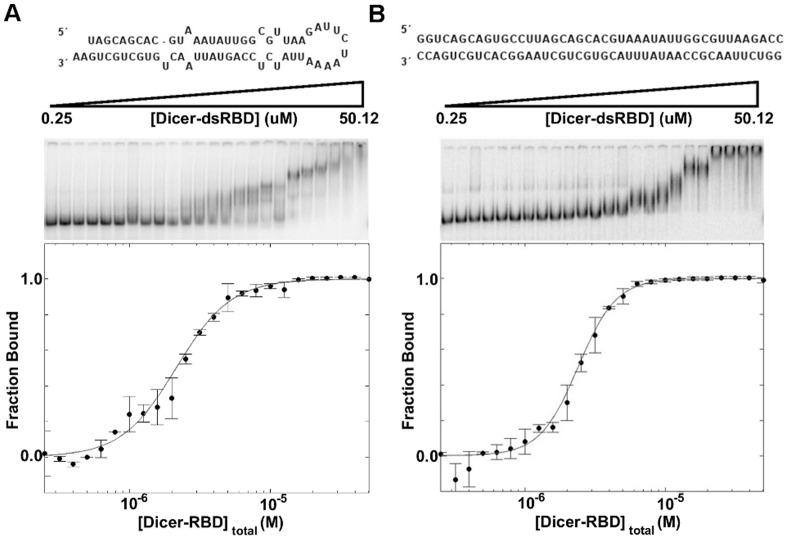 https://cdn.ncbi.nlm.nih.gov/pmc/blobs/2898/3521659/49c0c9426c97/pone.0051829.g002.jpg