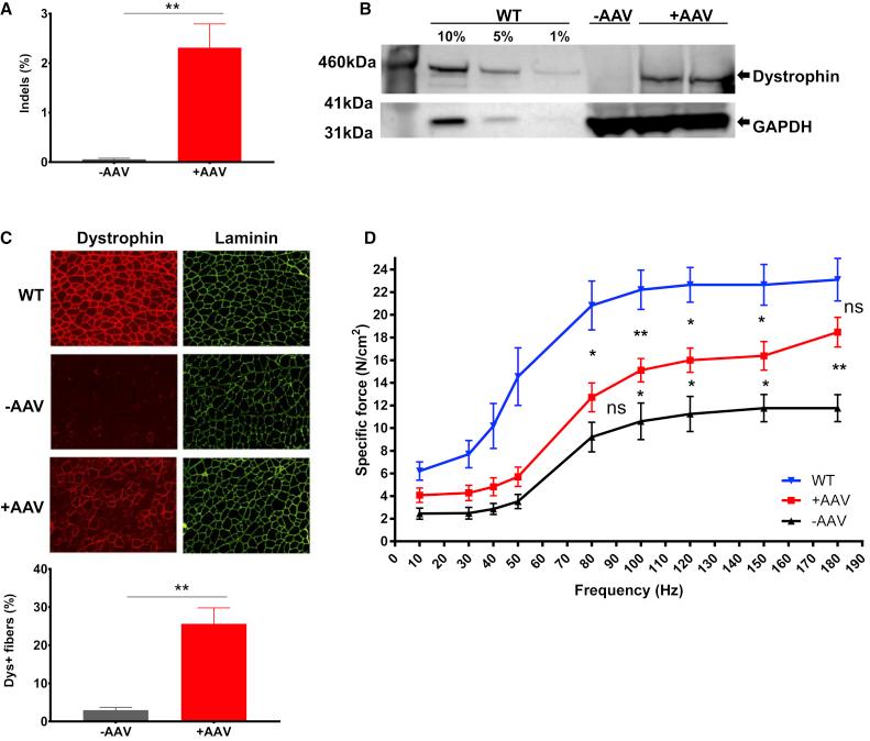 https://cdn.ncbi.nlm.nih.gov/pmc/blobs/2898/5986736/01ab5de3d719/gr4.jpg