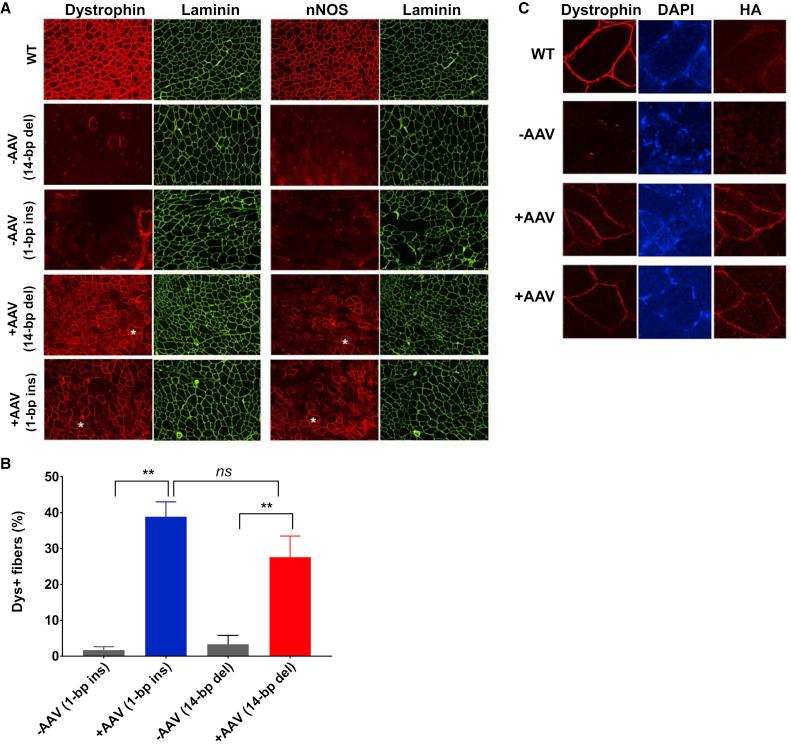https://cdn.ncbi.nlm.nih.gov/pmc/blobs/2898/5986736/20594a69f755/gr3.jpg