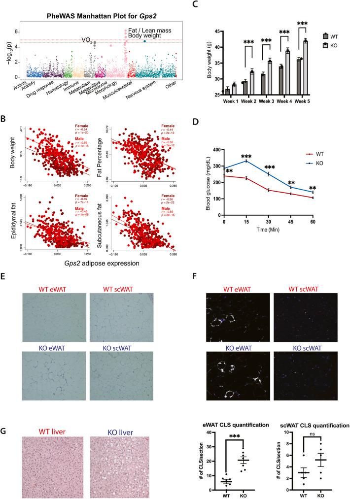 https://cdn.ncbi.nlm.nih.gov/pmc/blobs/2899/9922684/ec7262c8e0c5/gr1.jpg