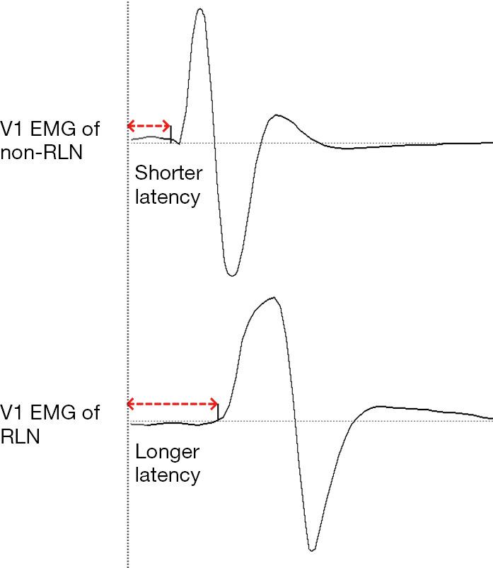 https://cdn.ncbi.nlm.nih.gov/pmc/blobs/289b/10493630/096edcbce119/gs-12-08-1031-f7.jpg