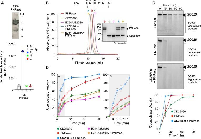 https://cdn.ncbi.nlm.nih.gov/pmc/blobs/289c/12255296/63850f7cfff4/gkaf644fig8.jpg