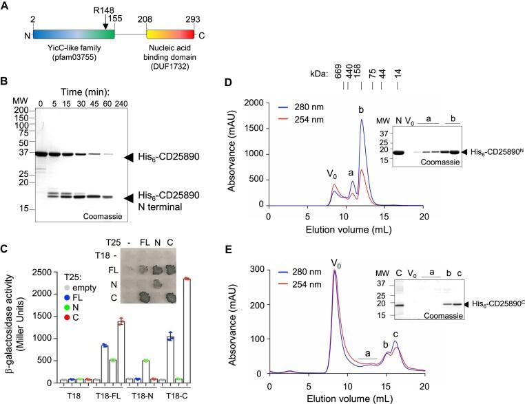 https://cdn.ncbi.nlm.nih.gov/pmc/blobs/289c/12255296/9b849066d857/gkaf644fig4.jpg