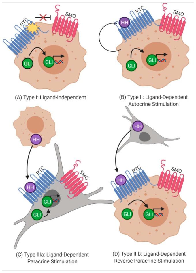 https://cdn.ncbi.nlm.nih.gov/pmc/blobs/289c/8063837/51ae5cb5611d/biology-10-00255-g002.jpg