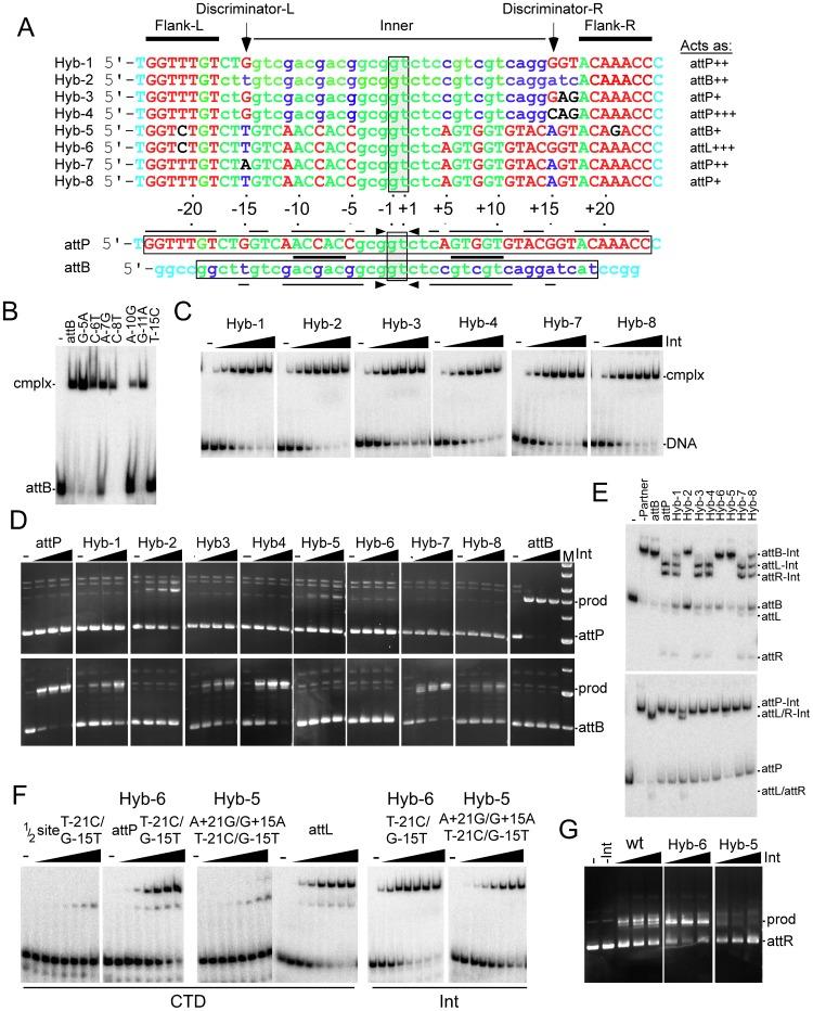https://cdn.ncbi.nlm.nih.gov/pmc/blobs/289e/3642061/049b02f79011/pgen.1003490.g005.jpg