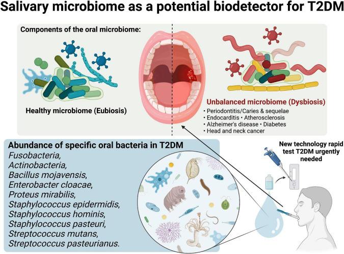 https://cdn.ncbi.nlm.nih.gov/pmc/blobs/289f/9892936/cf9fbeddf203/fnut-10-1113591-g001.jpg