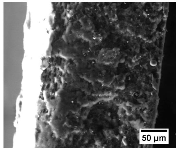 https://cdn.ncbi.nlm.nih.gov/pmc/blobs/28a2/11314315/20d0e20baa22/polymers-16-02153-g003.jpg
