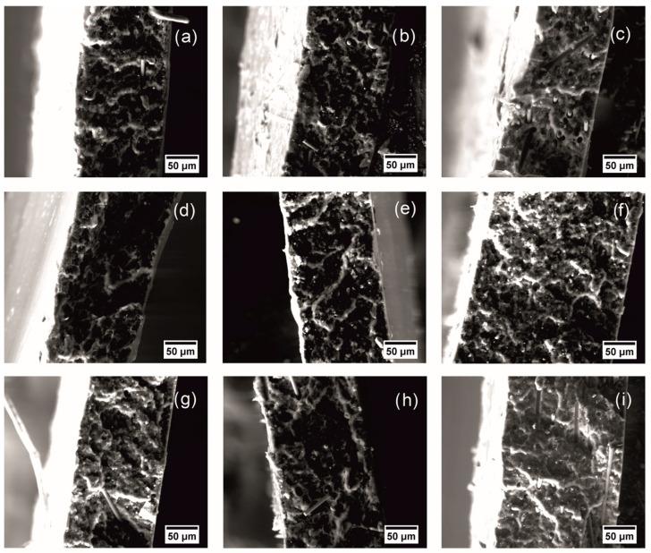 https://cdn.ncbi.nlm.nih.gov/pmc/blobs/28a2/11314315/69300f414335/polymers-16-02153-g004.jpg