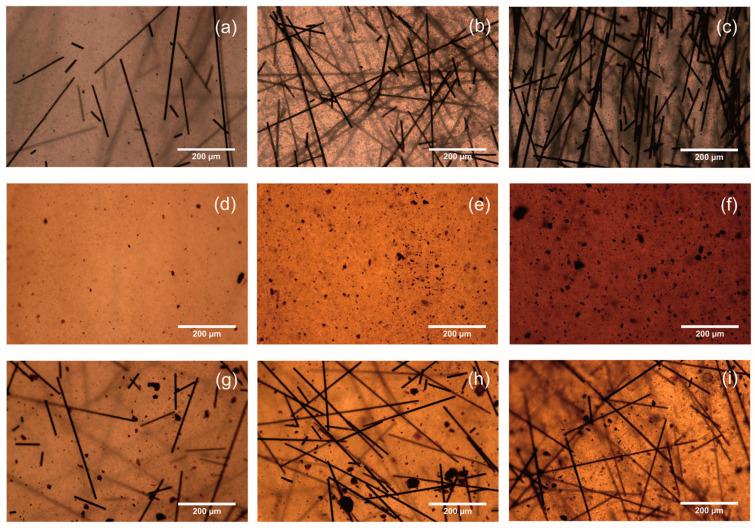 https://cdn.ncbi.nlm.nih.gov/pmc/blobs/28a2/11314315/75c5255a9775/polymers-16-02153-g005.jpg