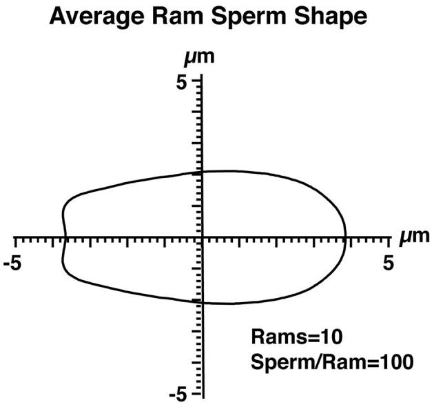 https://cdn.ncbi.nlm.nih.gov/pmc/blobs/28a2/12128647/749bd19e5330/fvets-12-1577004-g0002.jpg