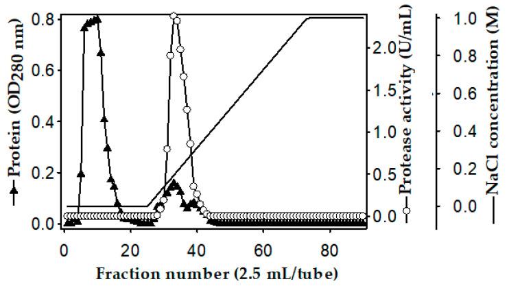 https://cdn.ncbi.nlm.nih.gov/pmc/blobs/28a5/7601101/7fb974ec5c0e/polymers-12-02228-g002.jpg