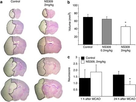 https://cdn.ncbi.nlm.nih.gov/pmc/blobs/28a7/3122061/72ea8810f92a/cddis201130f5.jpg