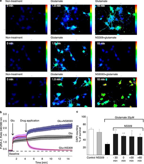 https://cdn.ncbi.nlm.nih.gov/pmc/blobs/28a7/3122061/d396a0c1c815/cddis201130f2.jpg