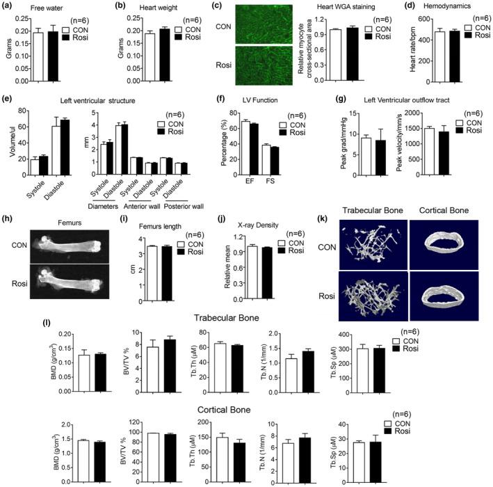 https://cdn.ncbi.nlm.nih.gov/pmc/blobs/28a7/7681041/cc75bf82c2e7/ACEL-19-e13267-g005.jpg