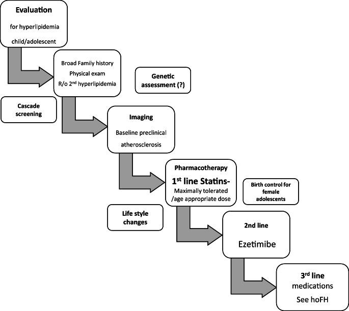 https://cdn.ncbi.nlm.nih.gov/pmc/blobs/28a8/8105241/6cf434262776/11883_2021_926_Fig1_HTML.jpg