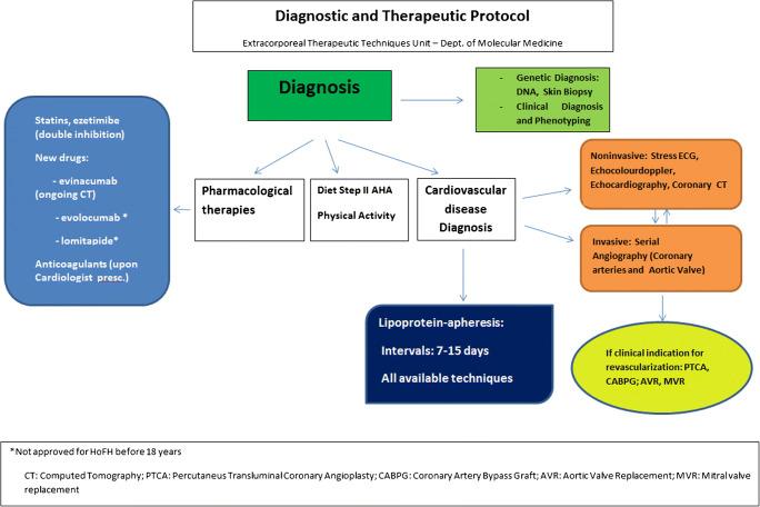 https://cdn.ncbi.nlm.nih.gov/pmc/blobs/28a8/8105241/782f7397a003/11883_2021_926_Fig2_HTML.jpg