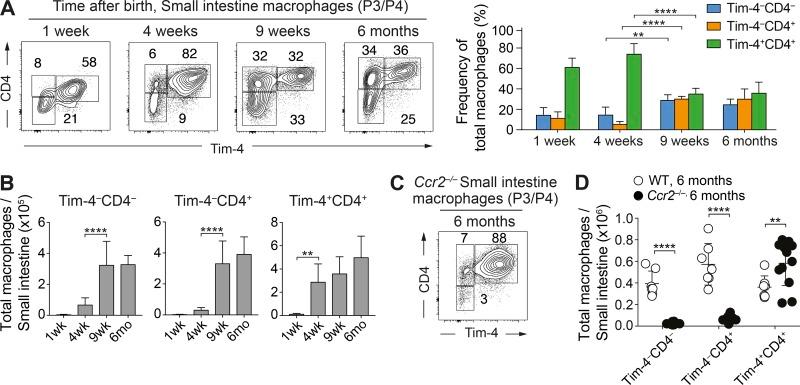 https://cdn.ncbi.nlm.nih.gov/pmc/blobs/28aa/5987925/0ace4c5b878e/JEM_20180019_Fig2.jpg