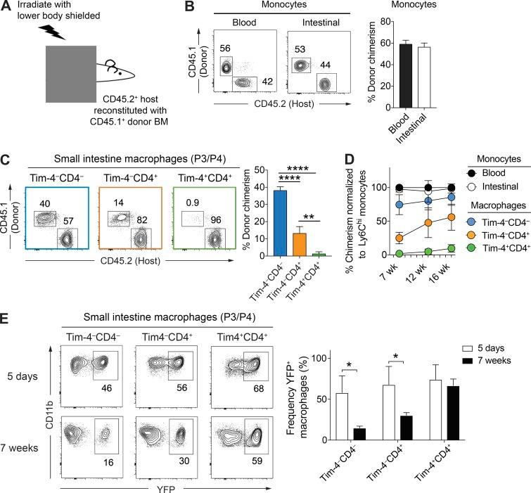 https://cdn.ncbi.nlm.nih.gov/pmc/blobs/28aa/5987925/60aac8aa69b5/JEM_20180019_Fig3.jpg