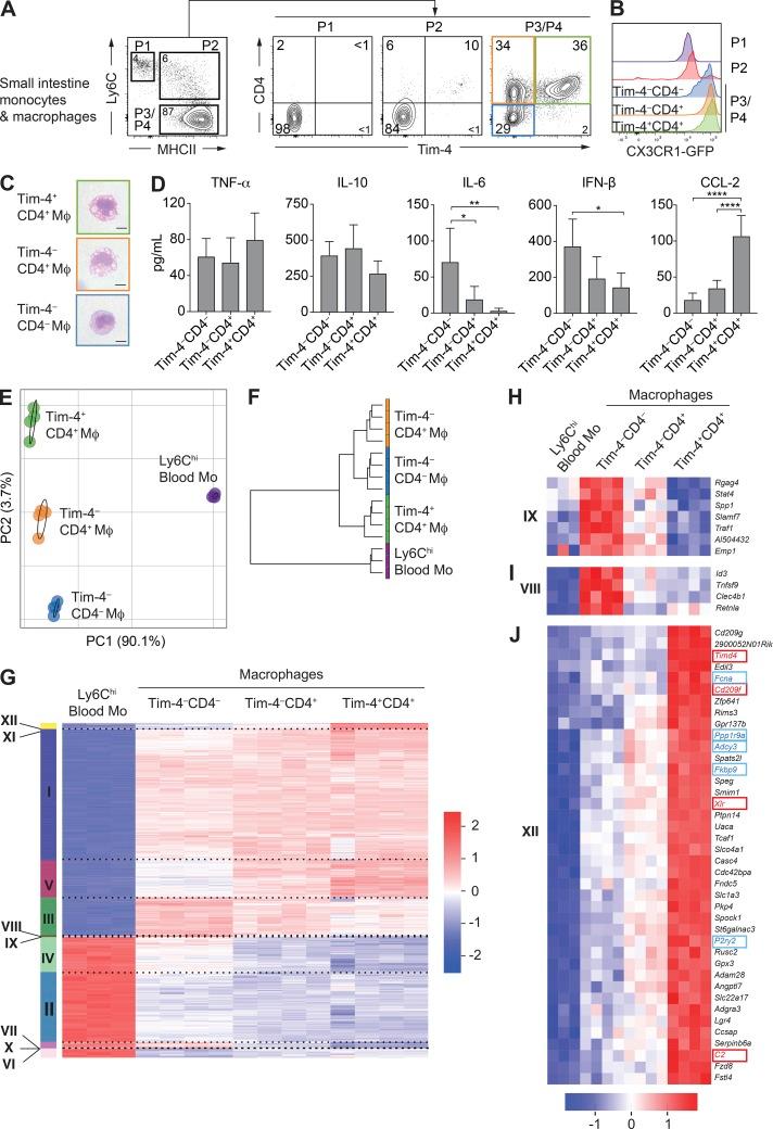 https://cdn.ncbi.nlm.nih.gov/pmc/blobs/28aa/5987925/a8f386578dce/JEM_20180019_Fig1.jpg
