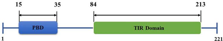 https://cdn.ncbi.nlm.nih.gov/pmc/blobs/28aa/8297548/4fada6be6db6/fimmu-12-697588-g001.jpg