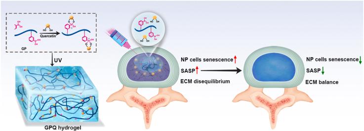 https://cdn.ncbi.nlm.nih.gov/pmc/blobs/28ab/11338064/ba7a193acf6b/ga1.jpg