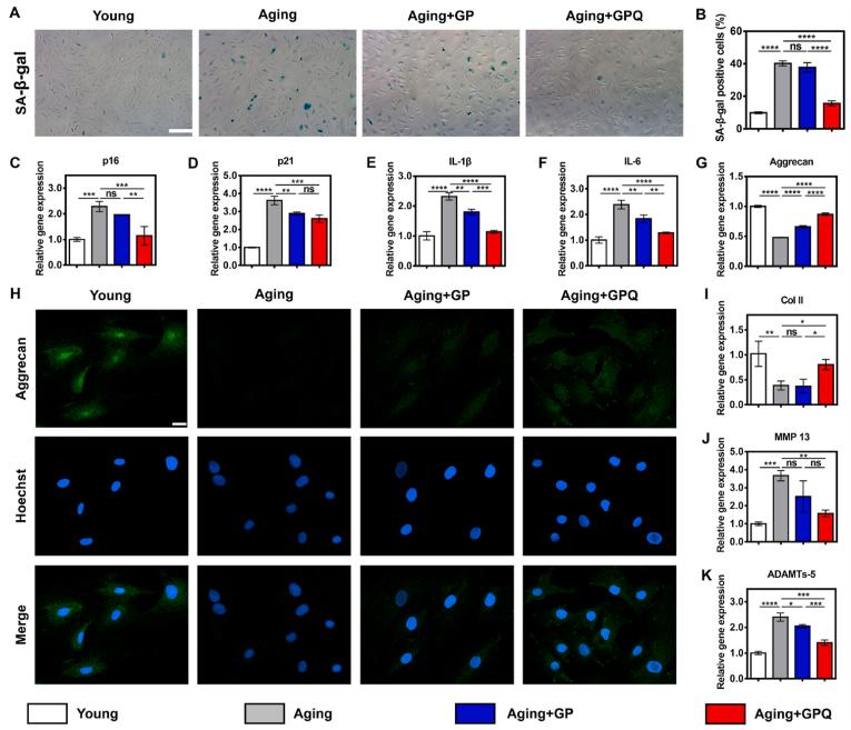 https://cdn.ncbi.nlm.nih.gov/pmc/blobs/28ab/11338064/c93f72280dab/gr3.jpg
